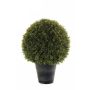 Basso cespuglio di bosso artificiale TOM in vaso, crossdoor, 53 cm, Ø 40 cm