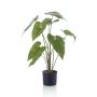 Pianta artificiale Alocasia Zebrina LEFKA con radici, verde, 75 cm