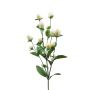 Ramo decorativo di amaranto THUSNELDA, crema-bianco, 70 cm
