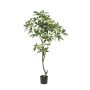 Albero artificiale di pachira CANTSA, tronco artificiale, 150 cm