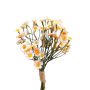 Bouquet di fiori artificiali crisantemi piccoli WEMKE, rosa chiaro-crema, 35 cm, Ø 13 cm