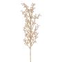Ramo decorativo bacche di sorbo BLERTO, bacche, champagne, 55 cm