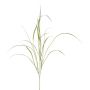 Ramo decorativo canna TROVAL, verde-argento, 105 cm
