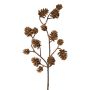 Ramo decorativo Abete KREMLA con pigne, marrone, 50 cm