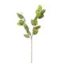 Ramo artificiale Lunaria JUDITHA, verde, 70 cm