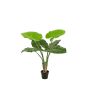 Pianta artificiale Alocasia Calidora NICAS, vaso decorativo, verde, 90 cm