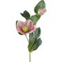 Fiore artificiale rosa di Natale DENDY, rosa-verde, 35 cm