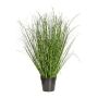 Erba decorativa Zebragras ZIRCO, verde-giallo, 80 cm