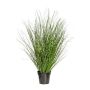 Erba decorativa Zebragrass ZIRCO, verde-giallo, 110 cm