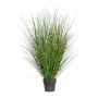 Erba decorativa Zebragrass ZIRCO, verde-giallo, 140 cm