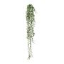 Appendino artistico Mühlenbeckia GRIHON, bastoncino, verde scuro, 80 cm
