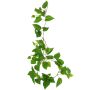 Pianta decorativa ghirlanda di edera SHELLEY su bastoncino, Eco Collection, verde, 55 cm