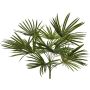 Palma artificiale Washingtonia SAIMA su bastoncino, crossdoor, 50 cm