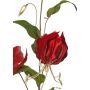 Ramo di gloriosa vellutata DINFAS, rosso scuro-oro, 80 cm
