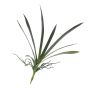 Orchidea Oncidium di plastica PAOLA, radici aeree, 25x45cm