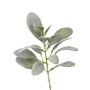 Ramo di stachys finto FERRIS, grigio-verde, 40cm
