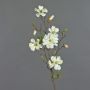 Ramo di magnolia artificiale MARGA, bianco, 80cm, Ø6-8cm