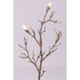 Ramo di magnolia artificiale ASANI, bianco, 70cm