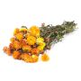 Bouquet di fiori di paglia ALMINKA, secchi, arancio-giallo, 50-60cm, Ø15cm