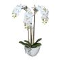Orchidea artificiale Phalaenopsis LARKEN in vaso di ceramica, radici, bianca, 50 cm