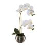 Fiore artificiale orchidea Phalaenopsis ZARFU, vaso decorativo argento, radici, bianco, 40 cm