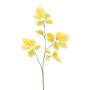 Ramo artificiale castagno BROFEL, giallo, 80 cm