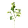 Ramo artificiale con fiori DRIHOL, verde, 75 cm