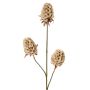 Ramo artificiale di garofano MARDUEN, beige, 75 cm, Ø 5 cm