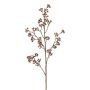 Ramo decorativo eucalipto FRULIN con frutti, rosa scuro, 80 cm