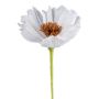 Fiore decorativo NOSFIN in carta, bianco, 45 cm