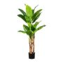 Palma artificiale Pianta di banano FABIEN, 150 cm