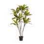 Pianta artificiale Cordyline MEIKE, tronchi artificiali, vaso decorativo, verde, 160 cm