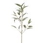 Ramo artificiale Eucalipto JURKA con frutti, verde-grigio, 90 cm