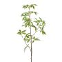 Ramo decorativo canapa KUNOVI, verde, 105 cm
