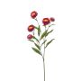 Ramo decorativo fiore di paglia SNAVIK, rosa, 70 cm