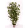 Bambù decorativo HILDEMARA, canne di bambù naturali, crossdoor, 200 cm - Made in Italy