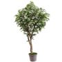 Acero giapponese artificiale MYKYTA, tronchi naturali, verde-rosso, 300 cm - Made in Italy