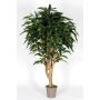 Decorazione Longifolia RAFIKO, tronchi naturali, verde, 175 cm - Made in Italy