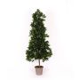Alloro decorativo piramidale KUSJENKA, tronco naturale, frutti, 180 cm - Made in Italy