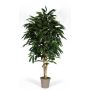 Longifolia artificiale MARIANKA, tronchi naturali, verde, 125 cm - Made in Italy