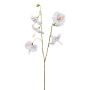 Ramo decorativo ibisco AEROK, rosa chiaro, 110 cm