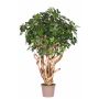 Schefflera artificiale TIERNO, tronco vero, verde, 200 cm - Made in Italy