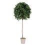 Alloro artificiale JUROTSCHKA, tronco reale, frutti, 150 cm, Ø 55 cm - Made in Italy
