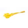 Erba di Lagurus essiccata BORKA, mazzo, giallo, 55-75cm, Ø12cm