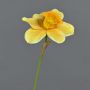 Fiore decorativo narciso FEIHAO, arancione-giallo, 40 cm