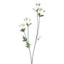 Ramo decorativo margherite KASANI, crema, 60 cm