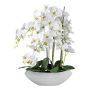 Fiore artificiale Phalaenopsis Orchidea XELAV, vaso di ceramica, bianco, 65 cm
