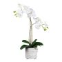Orchidea Phalaenopsis in tessuto GROTVER, vaso in ceramica, radici, bianco, 50 cm
