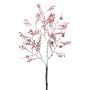 Ramo artificiale ginepro BLANTOR, bacche, pigne, congelato, bianco, 80 cm