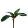 Foglie decorative orchidea Phalaenopsis ZULKRAM, bastoncino, radici aeree, 20 cm